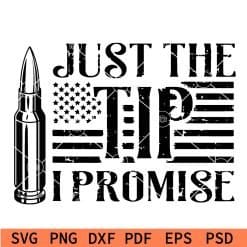 Just the tip I promise US Flag SVG