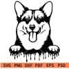 Peeking Welshi Corgi Dripping SVG