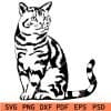 Domestic Cat SVG