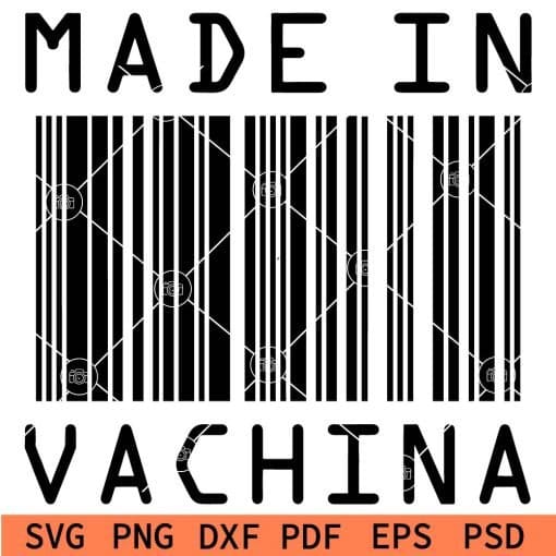 Made in vachina Barcode SVG