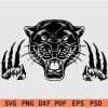 Panther scratches svg