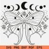 Celestial moth Lineart SVG