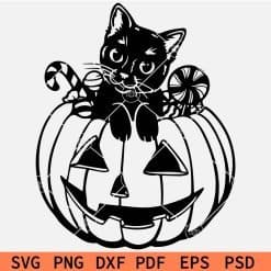 Black Cat on top of Halloween  Pumpkin Svg