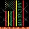 Juneteenth Flag SVG