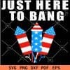 Just here to Bang Patriotic Fireworks SVG