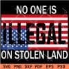 No One is Illegal on Stolen Land USA Flag SVG