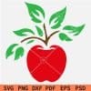 Red Apple with Green Leaves SVG