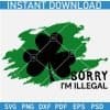 Sorry I am illegal shamrock leaf SVG