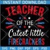 Teacher of the cutest Little Fire crackers SVG