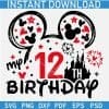 My 12th Birthday Mickey Ears SVG