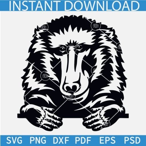 Peeking Wild Animals Silhouette Bundle SVG