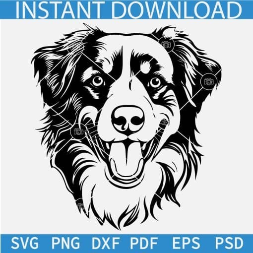 Australian Shepherd Dog Head SVG
