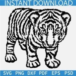 Baby Tiger Vector SVG,