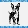 Boston Terrier Dog Standing SVG