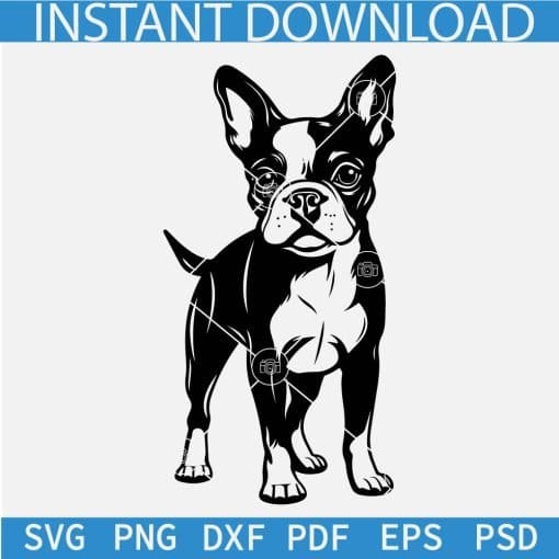 Boston Terrier Dog Standing SVG