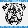 Bulldog Head SVG
