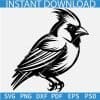 Cardinal Bird Vector SVG File,