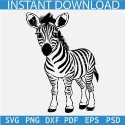 Cute Baby Zebra Standing Svg