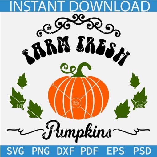 Farm Fresh Pumpkins Fall Leaves SVG, Pumpkin and Autumn Leaves SVG, Pumpkin Harvesting SVG