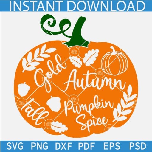 Floral Fall Pumpkin SVG, Autumn Pumpkin SVG, Pumpkin Spice Pumpkin SVG
