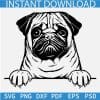 Peeking Pug Dog SVG, Cute Pug Dog Peeking SVG, Peeking Pug Vector SVG