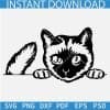 Peeking Siamese Cat SVG
