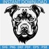 Pitbull  Head Stencil SVG