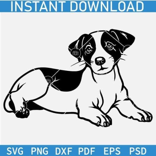 Lying Corgi Dog Silhouette SVG