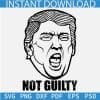 Not Guilty Trump SVG