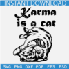 Karma is a Cat SVG, Cat Taylors Song SVG, Taylor Swift Eras Tour SVG