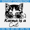 Karma is a Cat Sunglasses SVG, Cat Taylors Song SVG, Taylor Swift Eras Tour SVG