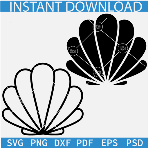 Sea shells svg, Seashell svg, Clam Bundle svg